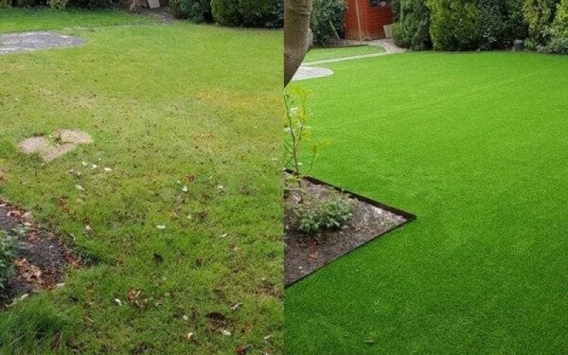 Wonderlawn17-600x600